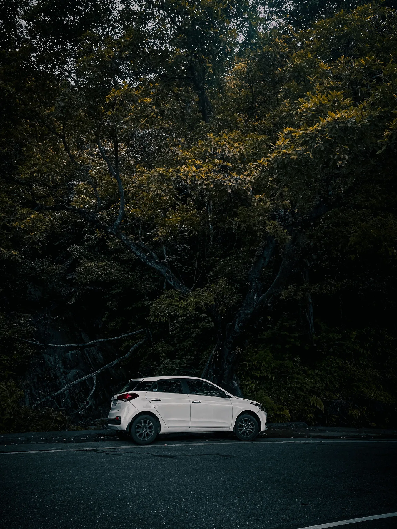 Representative compact white car in India